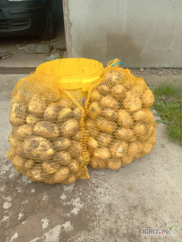 /images/posts/2025/06/2019618/3zCsBnE6u3qB1wp3funztDigf3TTiAqAfxr9XhIG.jpeg