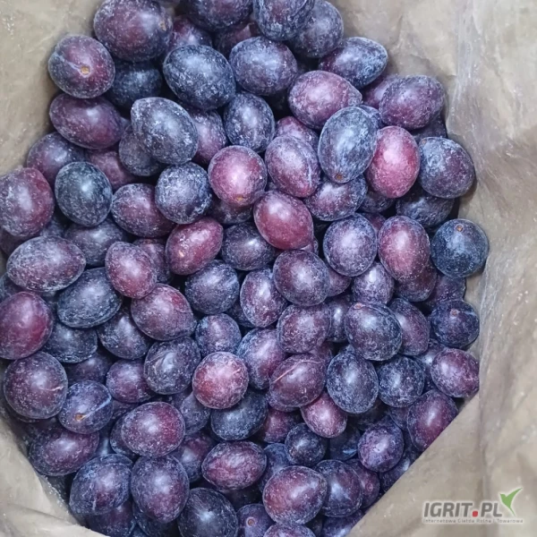 /images/posts/2025/03/1984520/MYopHj2L3wGgzEuZKFOtfuO63cpSm5GuDd4Bqxpm.jpeg