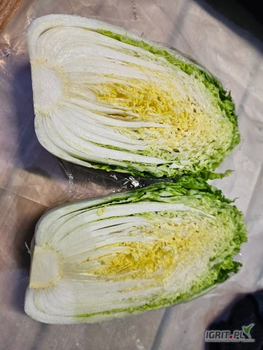 /images/posts/2024/06/1867495/a1SWOjtVdUpdqNhzjAKZ4B38YQG0NXw7QMiQtyTh.jpeg