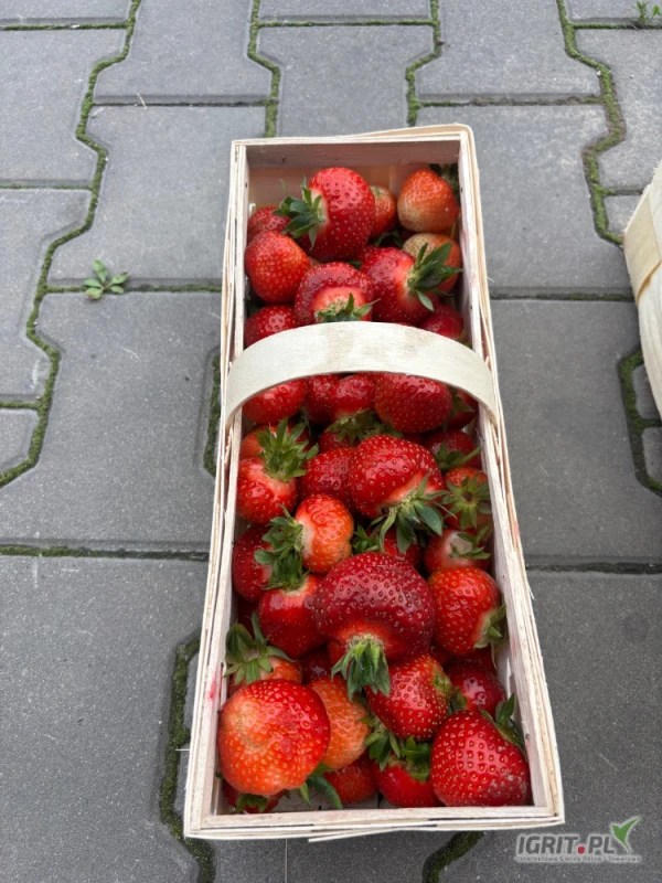 /images/posts/2025/06/2019630/MhWKJ2IUMBOBwVosYcLZEuwRxHmQEsTi1Uo4sMKA.jpeg