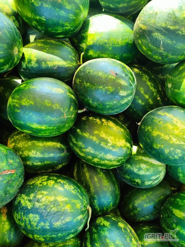 /images/posts/2025/06/2019641/9Q3EU8OZhRkClZSuEpNozVejmEfZZUKUV3MzOQX8.jpeg