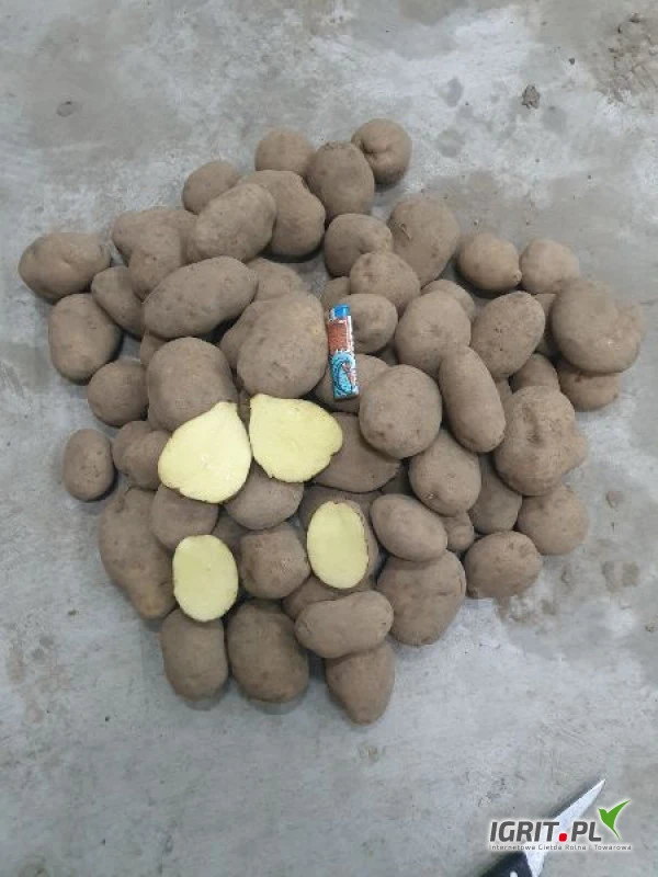 /images/posts/2021/12/1459448/heAftgp5uxDqHTijFNgIPAzWSMDXlu8J9SL8xH18.jpeg