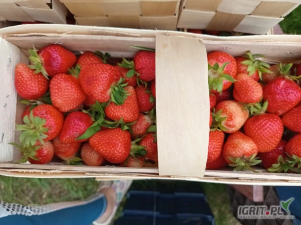 /images/posts/2025/06/2019696/wjQshMebV6PmqgQ5aiMoohDfpCXDGM2ikk3ivSLq.jpeg