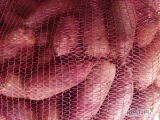 sprzedam buraki podłużne czerwone od 0,60 zł/kg luzem 0,65 big bag, worek 30 kg po 0,70 zł worek 10 kg  0,80 zł Odbiór Wola Blakowa...