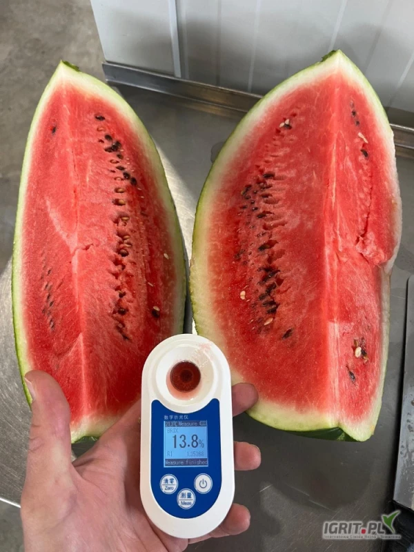 /images/posts/2025/06/2019732/0QWrUf8JLv39UN0eMaVBea6i3rax45iYxjUnwvdj.jpeg