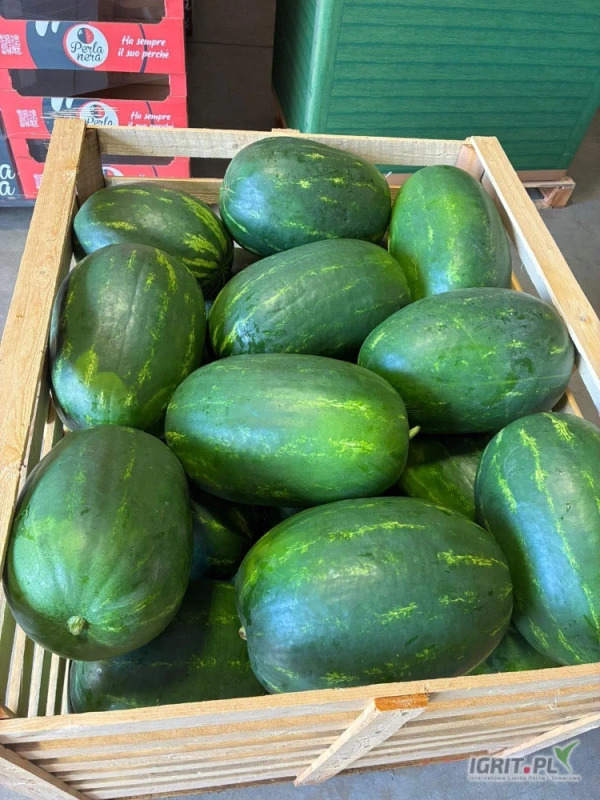 /images/posts/2025/06/2019732/iPHbHqDukEgbsqatzXJRzuljzVnIjUqzzVbyW14N.jpeg