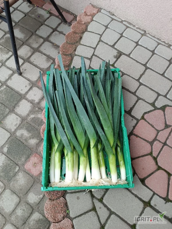 /images/posts/2025/06/2019733/9RX3u5Iu1v59ujvGYRZwrKEBodeS6eYT1nTxHTmt.jpeg