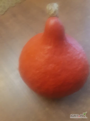 /images/posts/2024/09/1913750/YW14aIpLUgsHsOj7IsR6bh7WnfhxA0SYPj4IkmE3.jpeg
