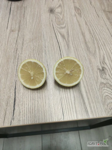 /images/posts/2024/11/1942940/X4JtzIdc3tsNSi949MPjagTcSCx6G4hQXCxvT0NA.jpeg