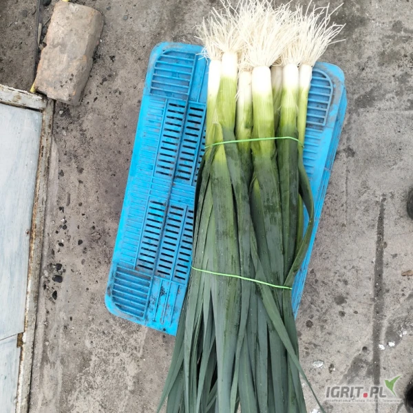 /images/posts/2025/06/2019876/BOUQynVu2GM4g7NByomtwYJSxId1fdVecsgKF5PO.jpeg