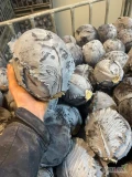 biała/czerwona kapusta Holandia! Wszystkie opakowania! +31681358555 Dirkshorn 