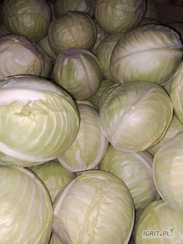 /images/posts/2025/06/2019966/BmGuGvZePIVBPlfJ78mjSljkEU67K33FKcsGBvqX.jpeg