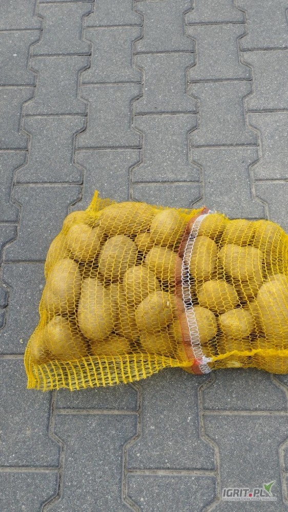 /images/posts/2025/06/2019982/xK8QWIX0HBELbhlj7RiXvKXVCOkXMhl6bfe7Gzlm.jpeg