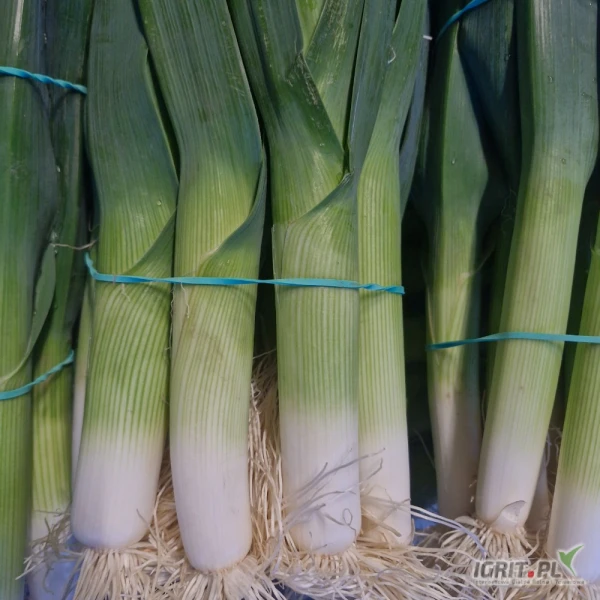 /images/posts/2025/06/2020129/Zj2eMxMl7e861cUzhj9SikWrUeHgVBICKowZDNKs.jpeg