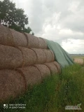 Sprzedam około 80 bel słomy 120x125 cena 70 zł sztuka więcej informacji pod numerem telefonu 604145182