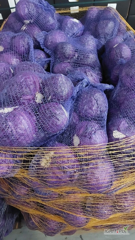 /images/posts/2025/05/2013159/aRORvVaR18xob5KcxcTZbPHWKku9SZlLUUPcchnG.jpeg