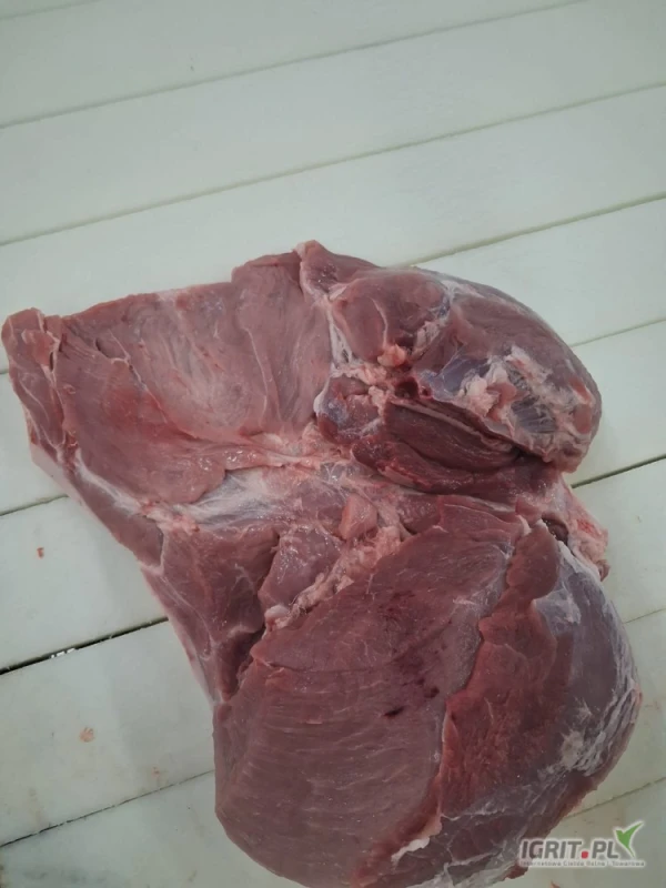 /images/posts/2025/06/2020197/4dSMvONyKEyJWQ3Zp5YzHWpcUFiy72ILLeNpOEcT.jpeg