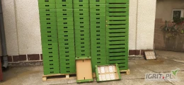 Firma Poraj z Bronisz oferuje kartony zbiorcze do truskawki i maliny i innych owoców o wymiarach 60x40x10 cm.Posiadamy równierz inne...