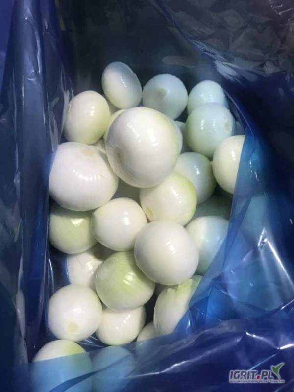 /images/posts/2025/06/2020264/PzcCZeyASJ7fZGNJrcQGBQoOKZGmfU7ge3RTHdXH.jpeg