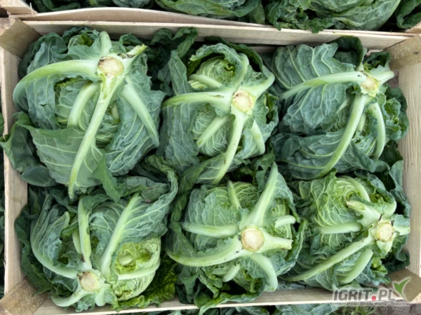 /images/posts/2025/05/2009039/6P352XgElOw8Tl1KfMkqBgayvCWQTtj0NLsQFOVf.jpeg