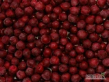 W nowym sezonie 2025 nawiążemy współpracę z sadownikami i producentami wiśni (Łutówka i inne odmiany). Przeznaczenie produktu:...