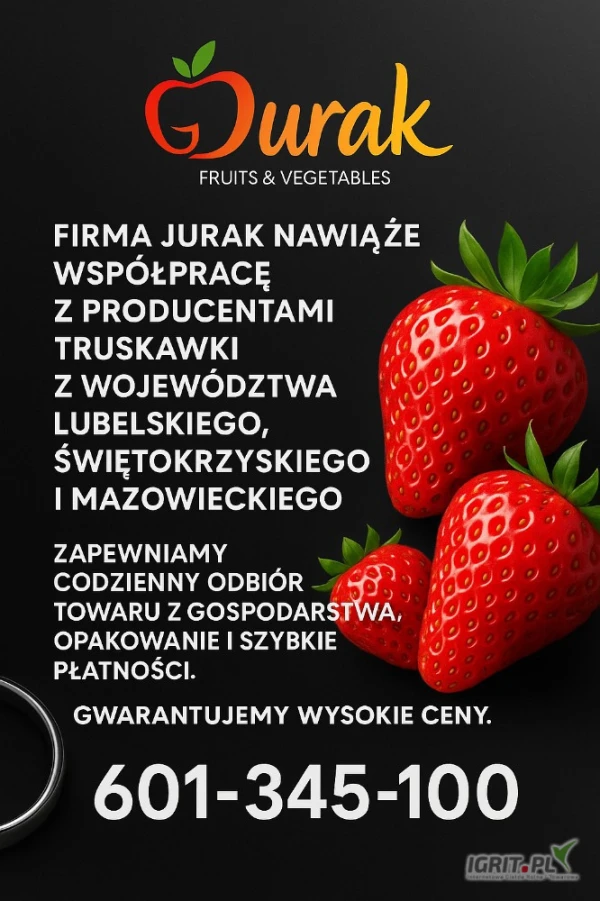 /images/posts/2025/06/2020446/6t017UY7zg6HVYE5rLj76lJW3FBYerzSwjCI7XF3.jpeg