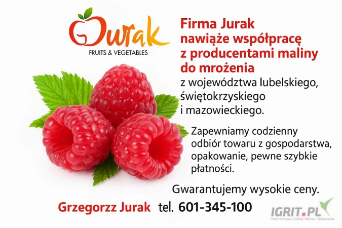 /images/posts/2025/06/2020448/X7WZZKFqefyN6wmb2euJJde3lXOWizE4Ul4McABy.jpeg