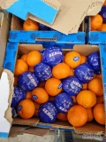 SPRZEDAM MANDARYNKE TURCJA .CYTRYNA TURCJA LAMAS RÓŻNE KALIBRY. HURTOWNIA KATOWICE GIEŁDA SEBASTIAN 692376843.UL.BOCHENSKIEGO. MARCIN...