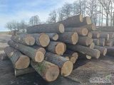 Sprzedajemy kłody dębowe. Tel. +420773498768