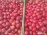 Sprzedam princa 50 skrzyn i 20 skrzyń idareta