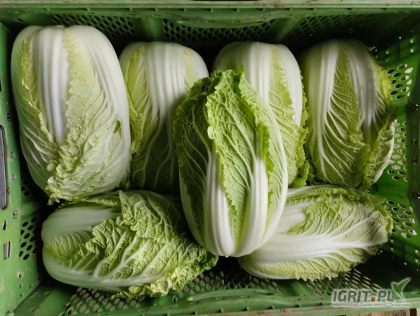 /images/posts/2025/06/2020609/dkGiNPiImZpDIFg509AfbRJeUuu5qx0eKNa461Qd.jpeg