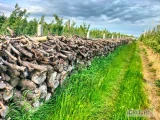 Sprzedam drewno jabłoniowe suche ok. 70m3 