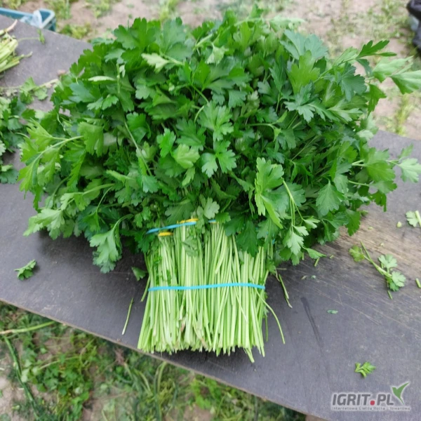 /images/posts/2025/06/2020874/vcDnED9NFPQGviGcRijHnt8zWmqHMO07XrbRDqnA.jpeg