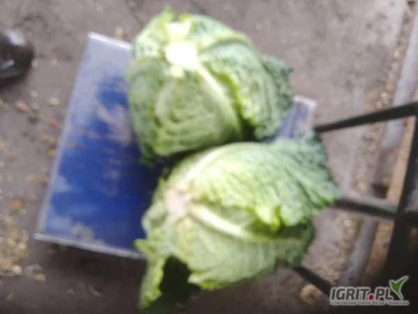 /images/posts/2025/06/2020928/p7a5D4JPt33avXFNucHZONEemtKGj3b2yOsP7D7Y.jpeg