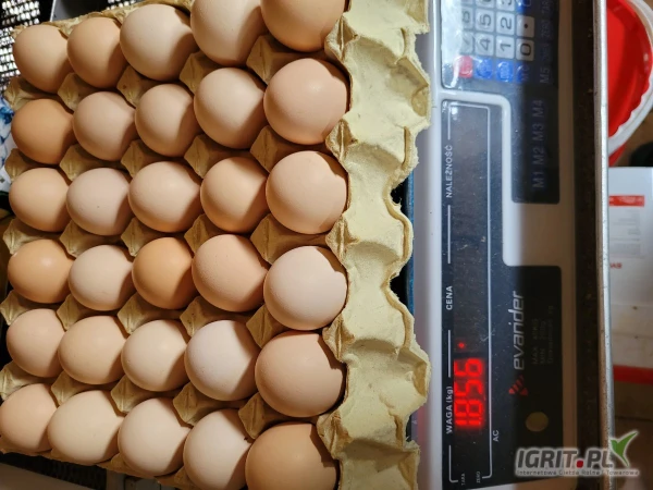 /images/posts/2025/05/2009568/wZP5bQEUS32a5owmDifQC2IVlJ3MZuG561cg1jdV.jpeg