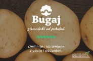 Kontraktacja na sezon 2026.
