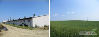 OGŁOSZENIE O SPRZEDAŻY
