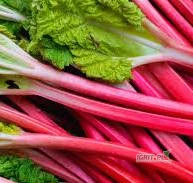 /images/posts/2025/06/2020980/iKhUA45ec42YvDcyIciCfrqNRcq6CKD78yip5FNX.jpeg