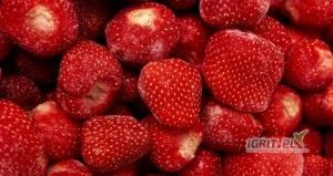 /images/posts/2025/06/2020982/6G6JxAikUMohpbv4WJFkmfd8GWMvXyNXQsKCgBdb.jpeg