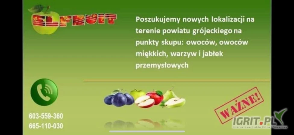 /images/posts/2025/06/2021039/jG1YtJH7ZomnvlEtConFJVSimS85KRpriYXWsR7j.jpeg