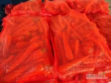Sprzedam Młodą Marchew Polską, myta, worek szyty 10 kg.
