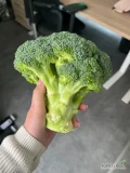 sprzedam brokuł niefoliowany, cena do uzgodnienia