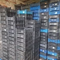 Sprzedam skrzynki pojemniki plastikowe "popieczarkowe" . Używane około 1000 sztuk 