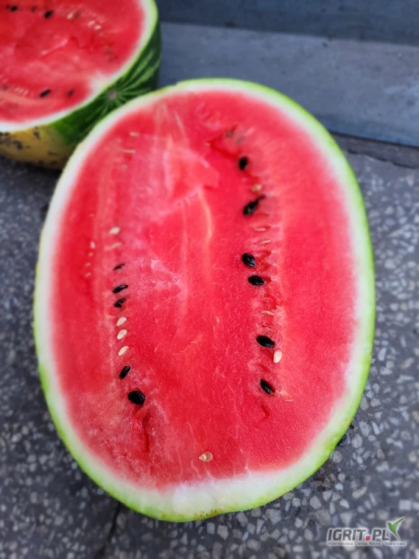 /images/posts/2025/06/2021267/50Y1hB8tlwghJdRGnJHwWoHLNHe6f3oN0A1vqt14.jpeg