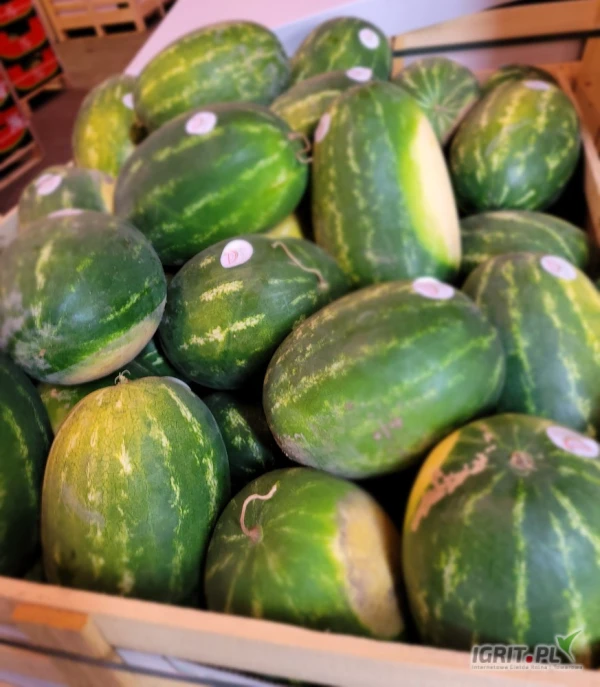 /images/posts/2025/06/2021267/A78wcdSDlyIEbrkzOuyuDvbbbHVJ7DsWfnXp5VLO.jpeg