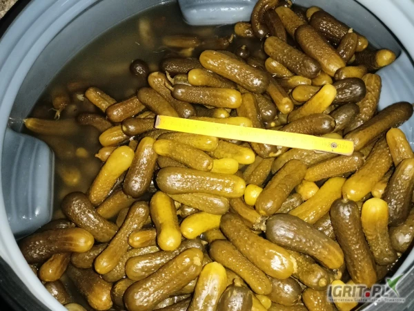 /images/posts/2025/05/2008876/LyLDSbcc61zZNpigdu6CFiDWensfHGPPfRTwh4Iv.jpeg