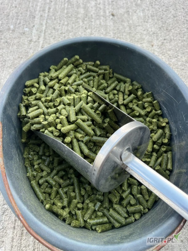 /images/posts/2025/06/2021315/cYNQ6TYdbuHBpU3hiSOslV3o6Rfx95oXTg99RDyT.jpeg