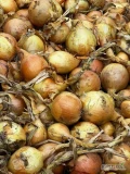 Sprzedam cebulę do obierania import cena 400zl/tona z dostawą całkowity odpad przy obieraniu około 25% 
