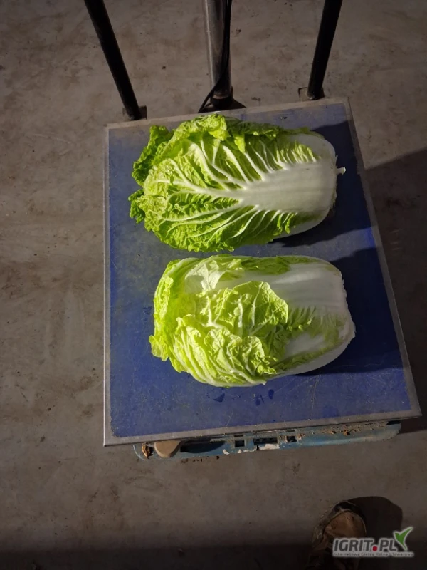 /images/posts/2025/06/2021454/ZME6K48dUBkKPBnn7sZacrmCQhFk9Vi4ahHHkpuF.jpeg