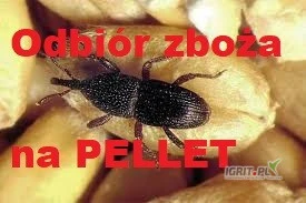 /images/posts/2025/06/2021489/cpIaN2FIMaiQ4qf1K6WdSxoPFfsl81ncLsetkajs.jpeg